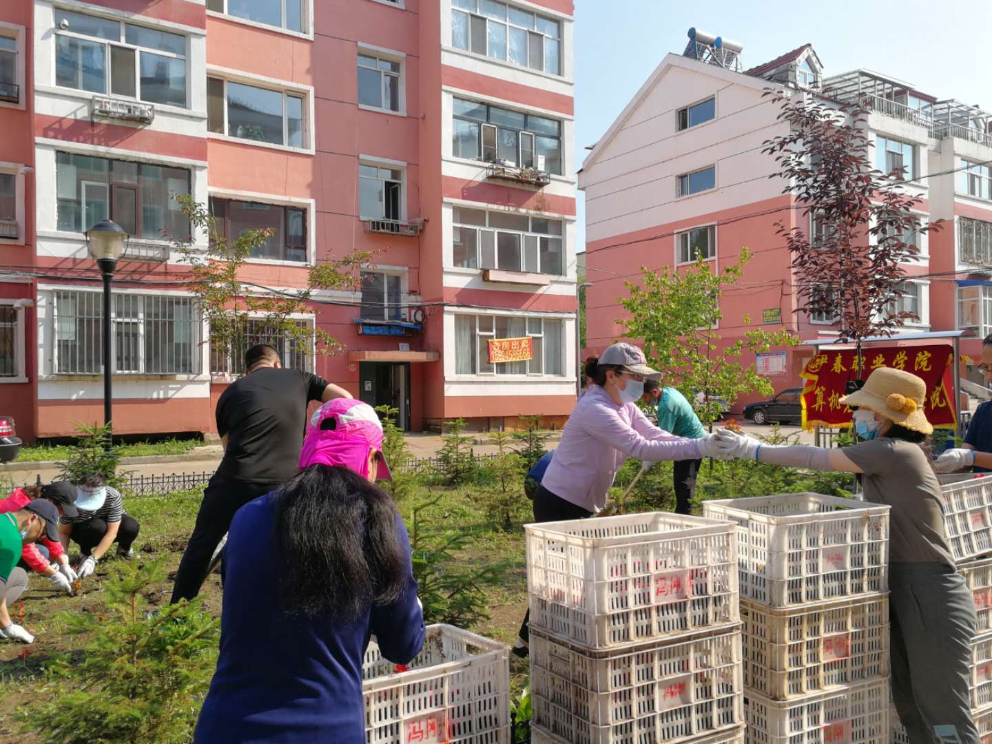 计算机应用技术学院党支部志愿活动