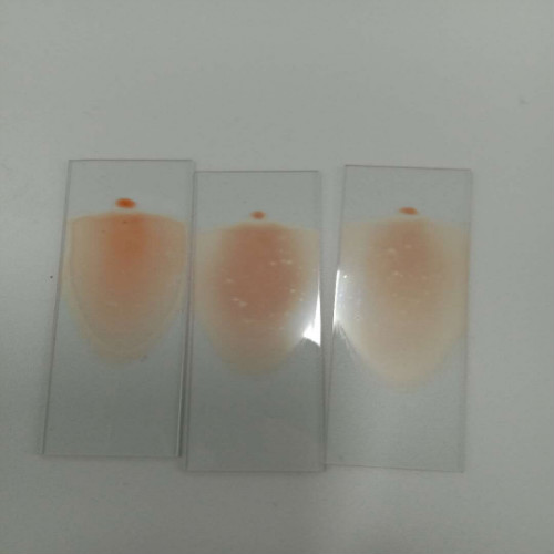 医学检验专业实训课剪影