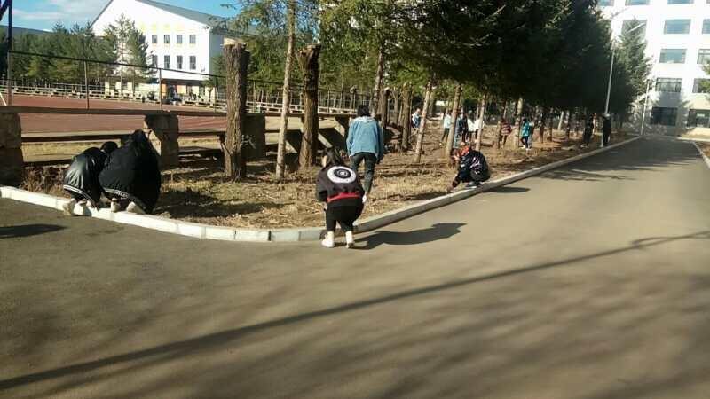 我校开展第31个爱国卫生月活动