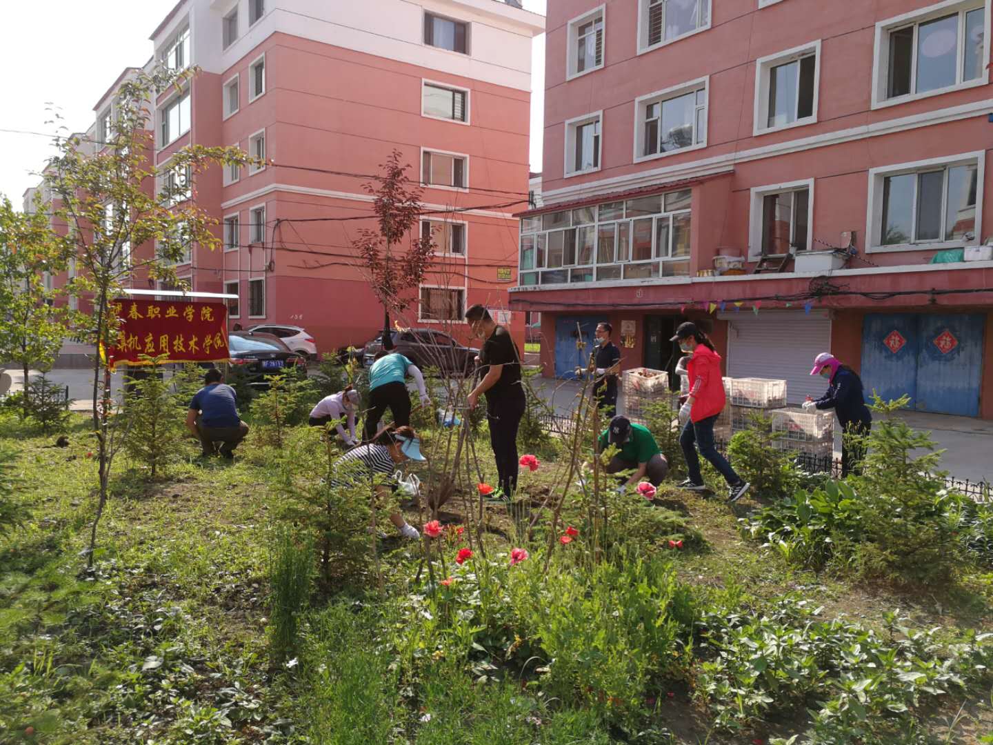 计算机应用技术学院党支部志愿活动