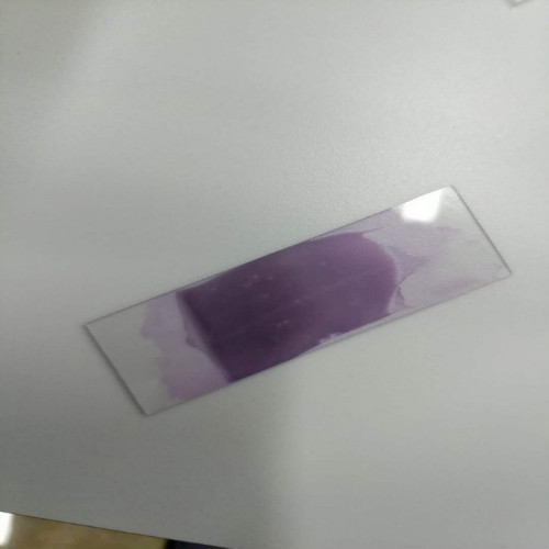 医学检验专业实训课剪影