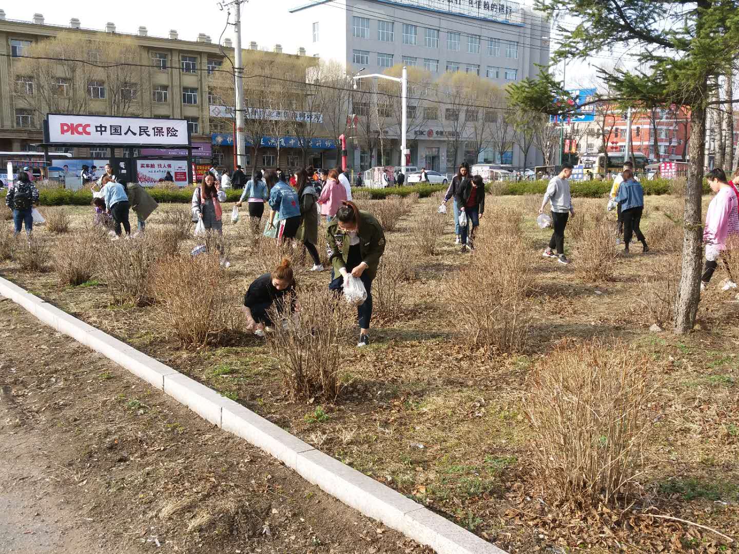 我院组织学生党员、入党积极分子开展义务劳动