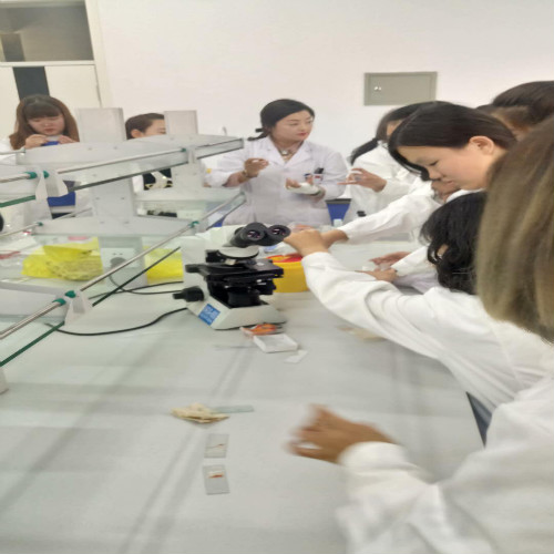 医学检验专业实训课剪影
