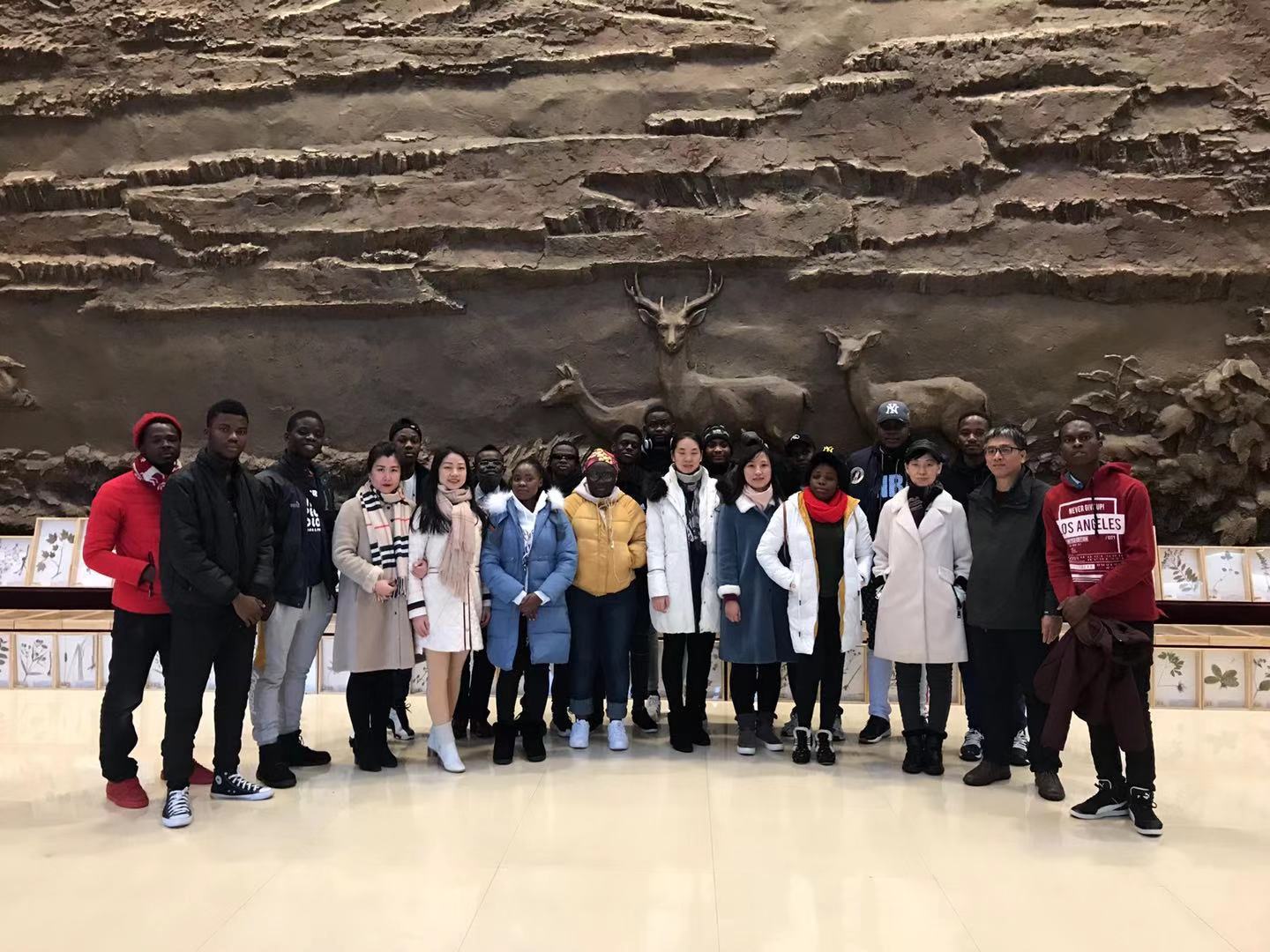 开启文化之旅，领略林城之美——记我校留学生参观伊春森林博物馆