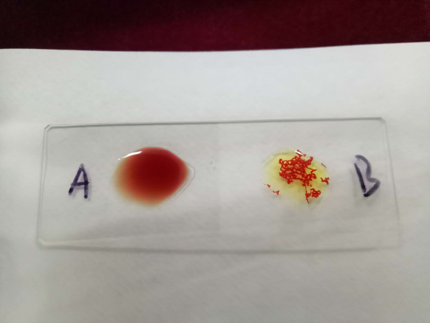 医学检验专业志愿者活动