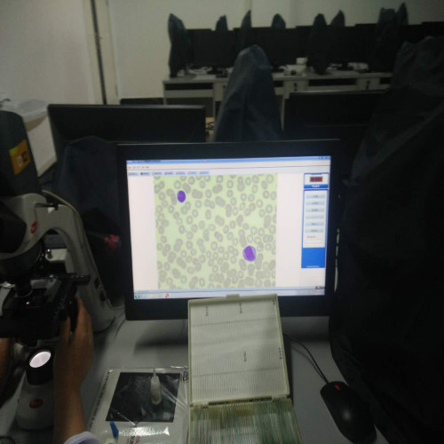 医学检验专业实训课剪影