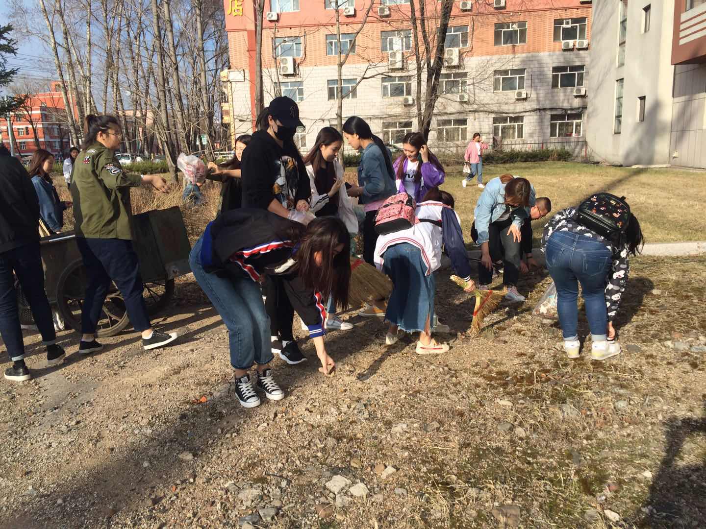 我院组织学生党员、入党积极分子开展义务劳动