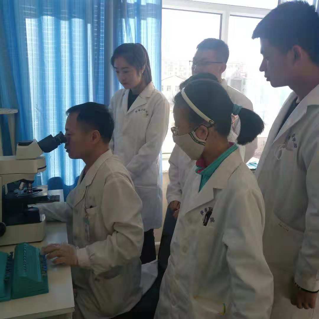 医学技术学院学生课间见习情况