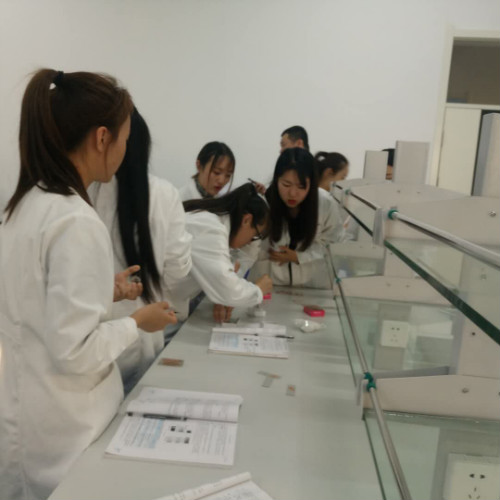 医学检验专业实训课剪影